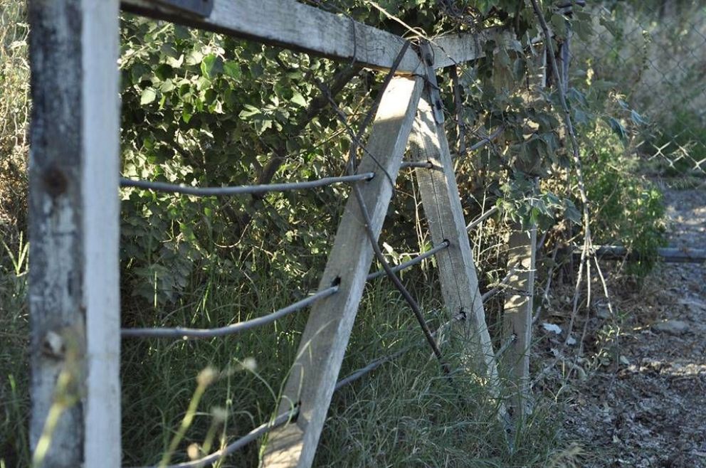 “La Torre Talero”: la historia en el olvido